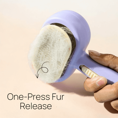 2-in-1 Self-Cleaning Pet Grooming Brush