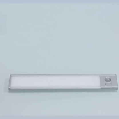 Motion Sensor LED Light (2 pack)